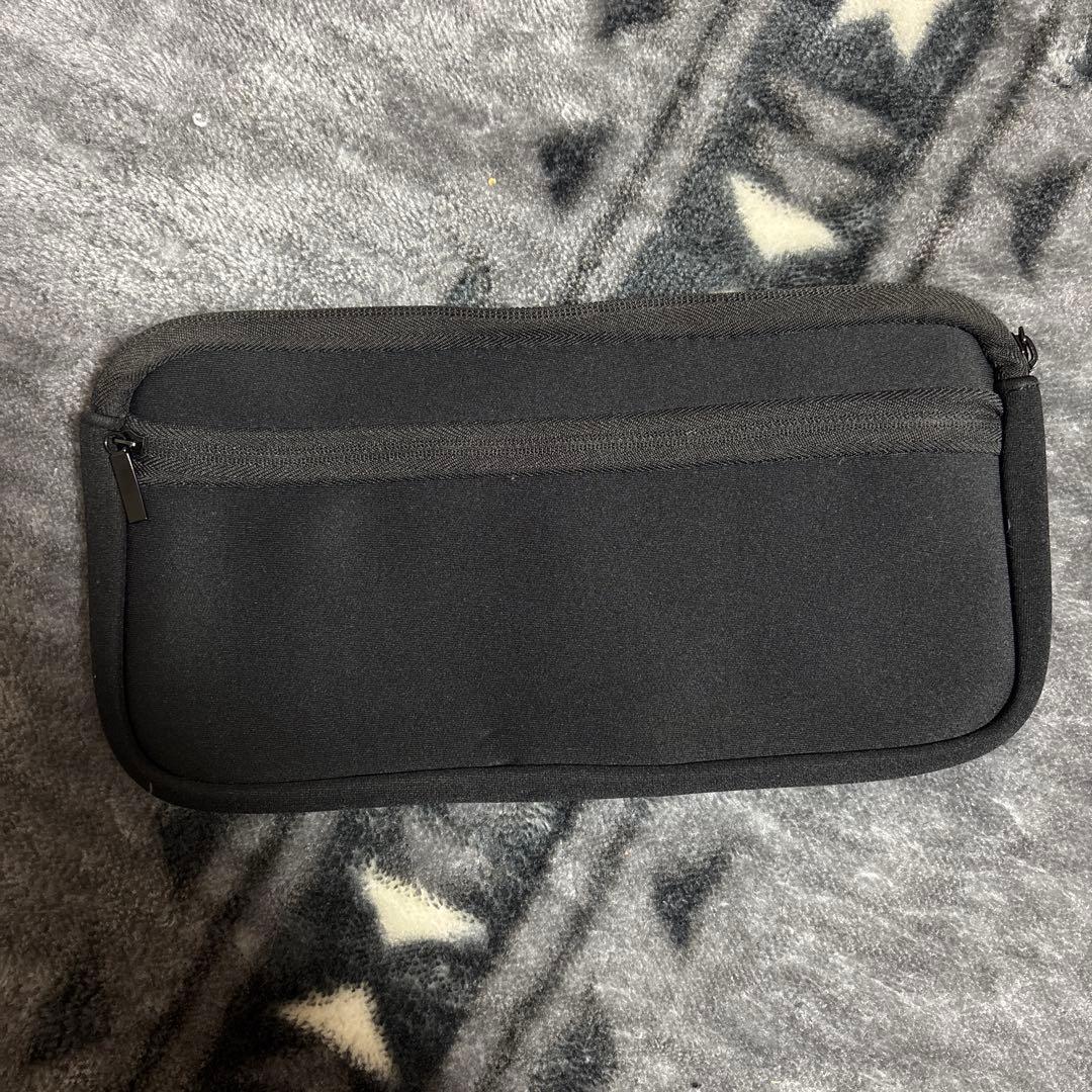 Switchライト箱充電器付き ケース付き