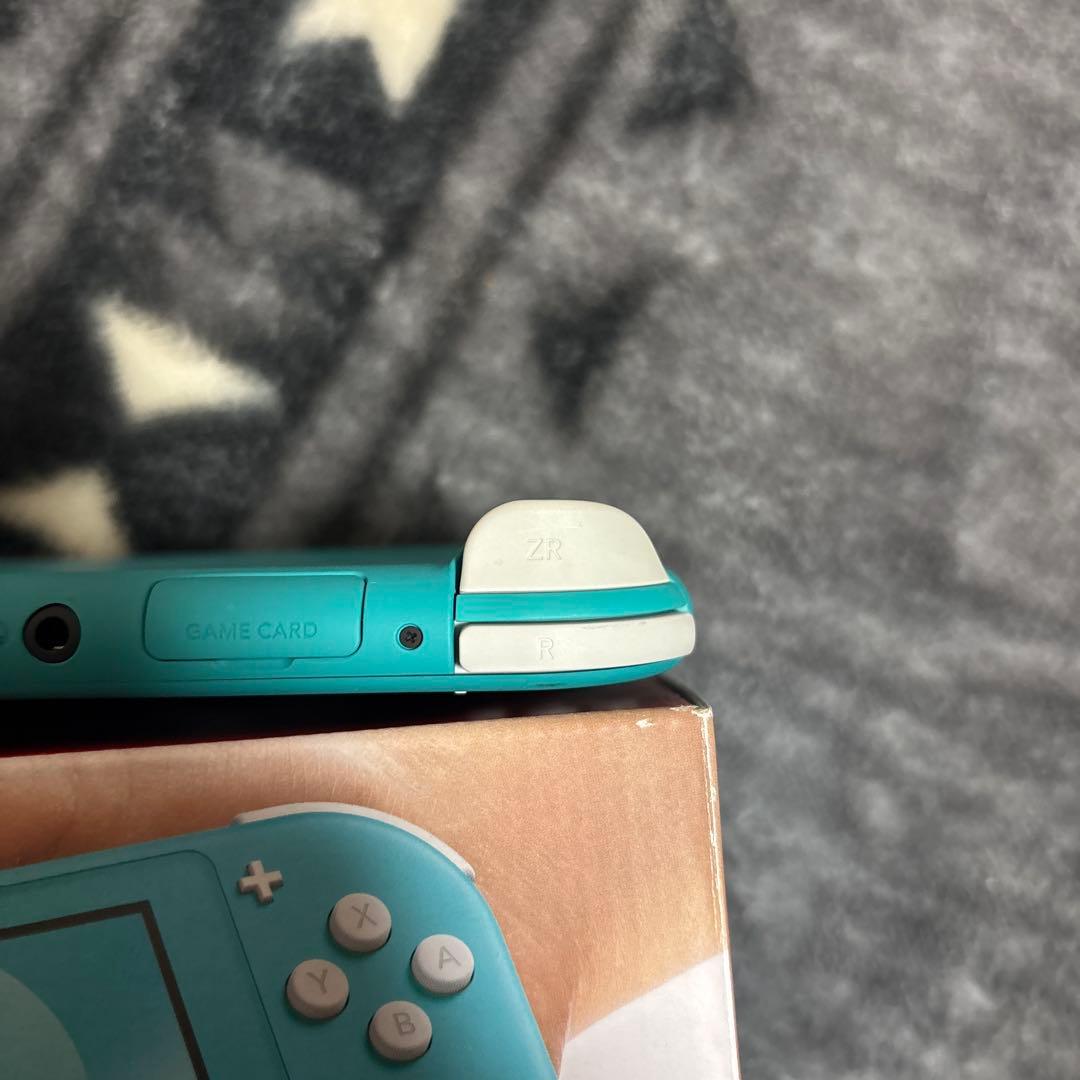 Switchライト箱充電器付き ケース付き