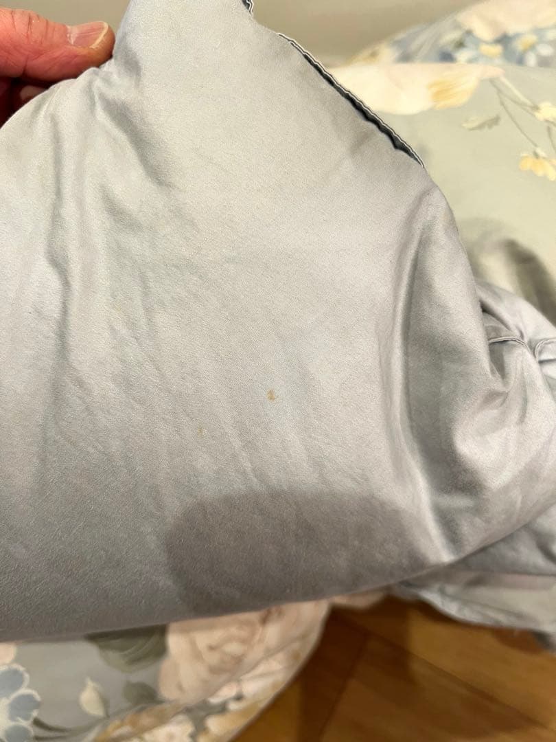 ロマンス小杉　ポーランドグースダウン95% セミダブル+大阪西川ダブルの2枚