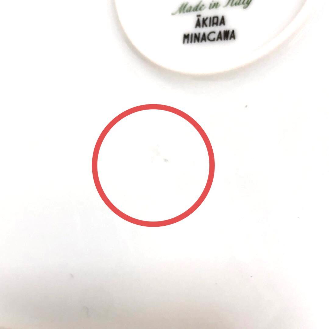 リチャードジノリ　スクエアプレート　スペランツァ　ミナペルホネンコラボ