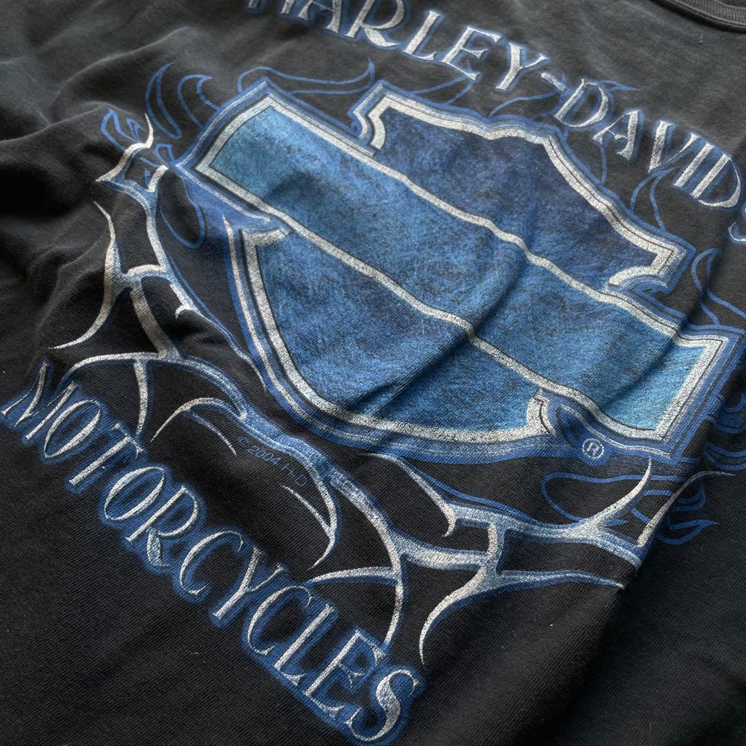 2000s ハーレーダビッドソン 袖フレイム プリント ロングTシャツ XL
