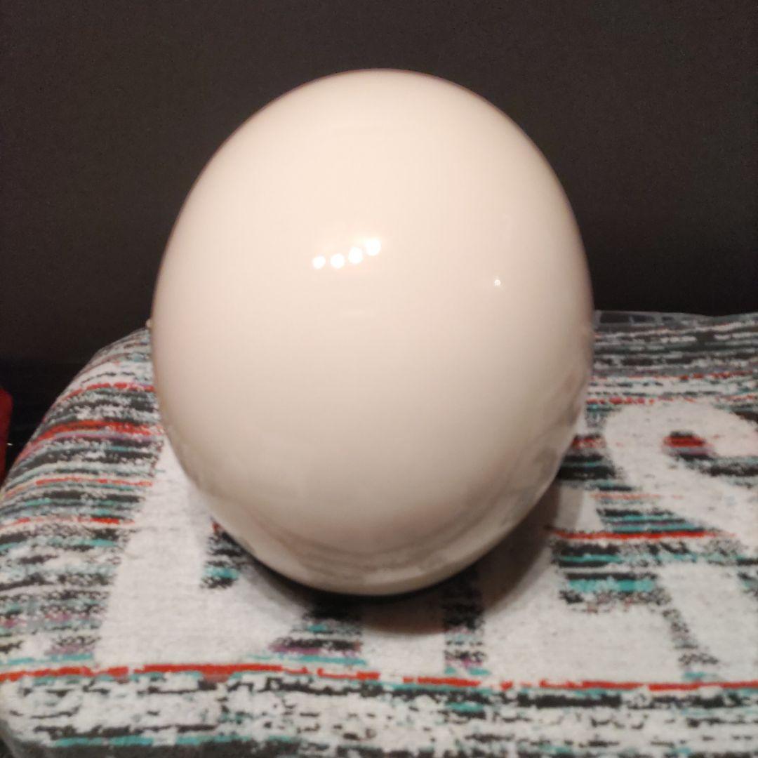 サ*ン様 ★オーシャンビートル★ MTX M ゴーグル付き