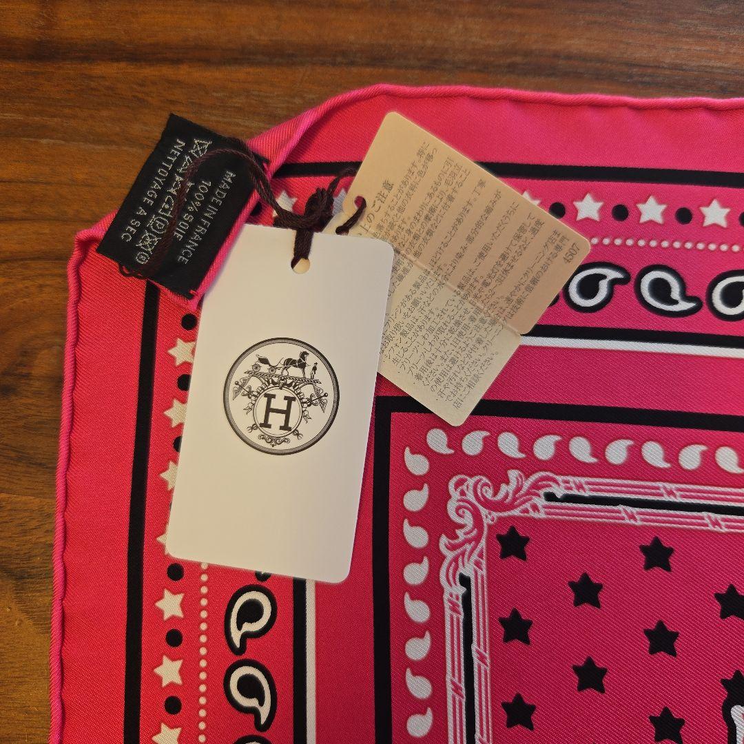 エルメス シルクスカーフ グランカロスポワールアンバサドゥール