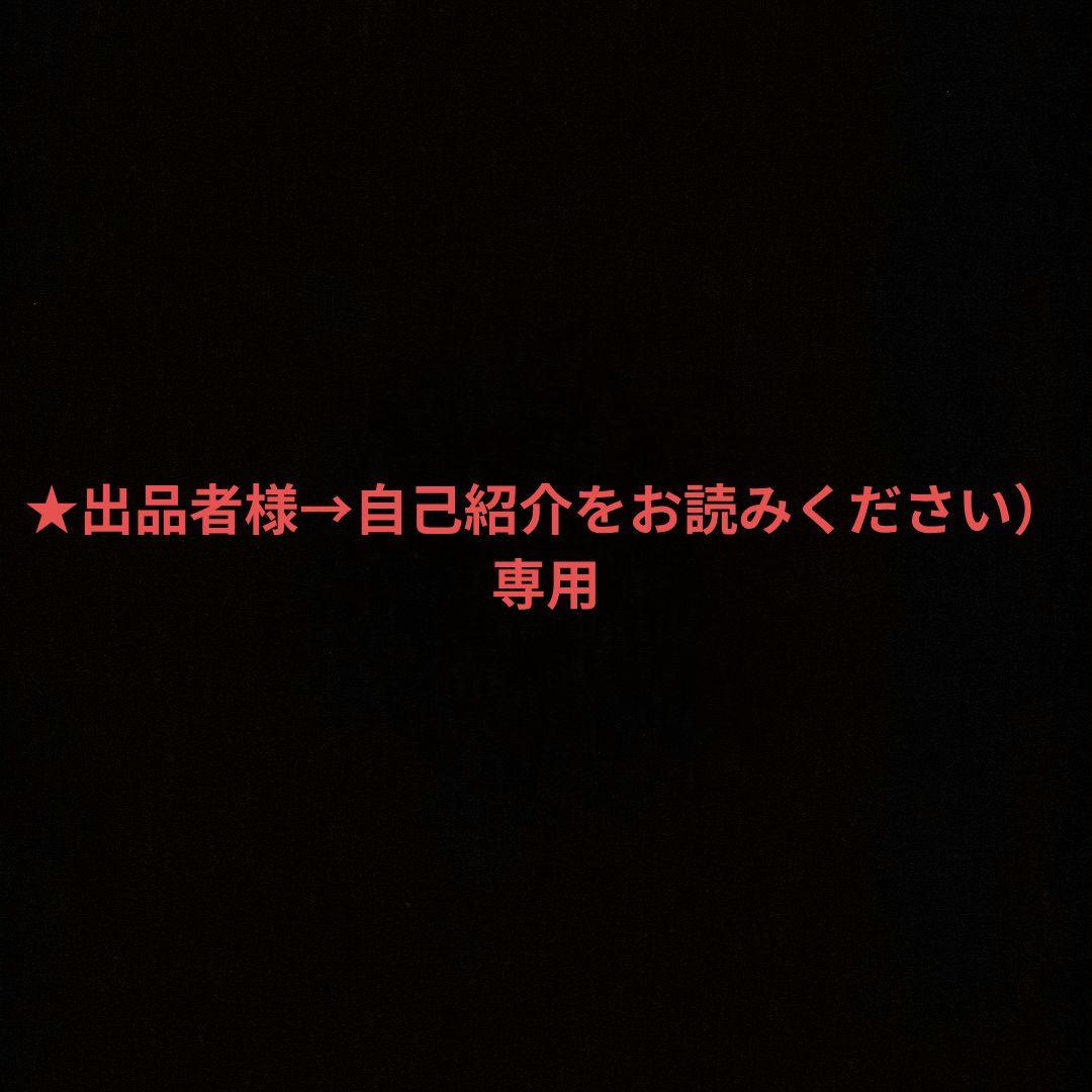 ★出品者様→自己紹介をお読みください）専用