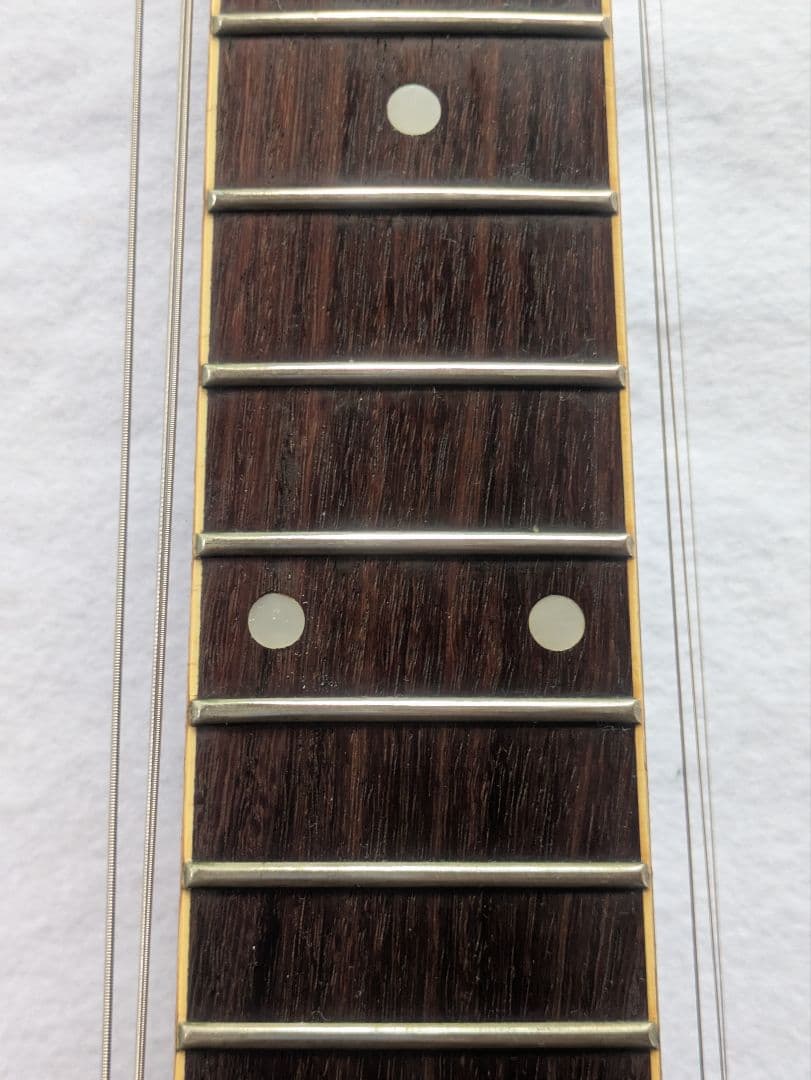 Vester MANIAC テレキャスター　フェルナンデス　TEJタイプ