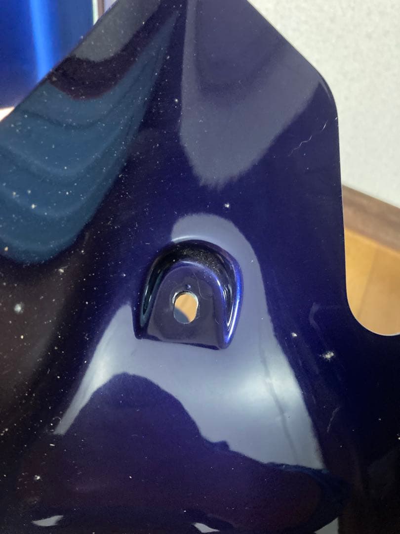 ビキニカウル XJR