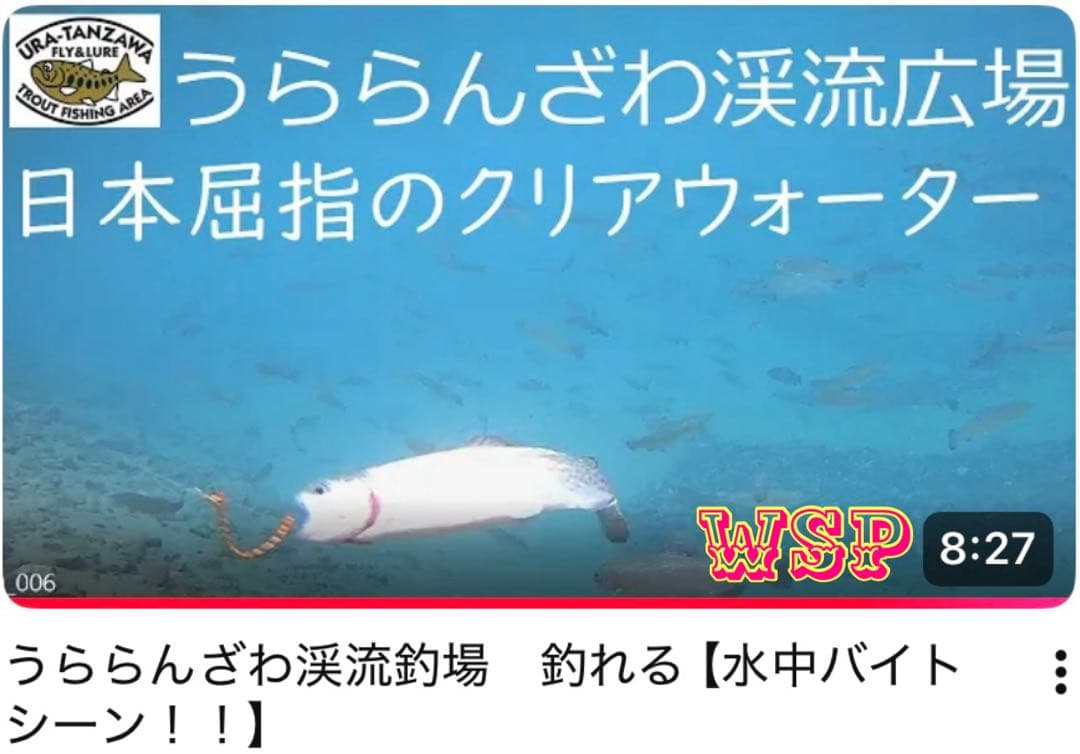 【オーダー受付ページ】WSP 形状記憶　数釣り最強！超万能ルアー