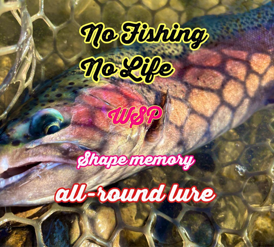 【オーダー受付ページ】WSP 形状記憶　数釣り最強！超万能ルアー