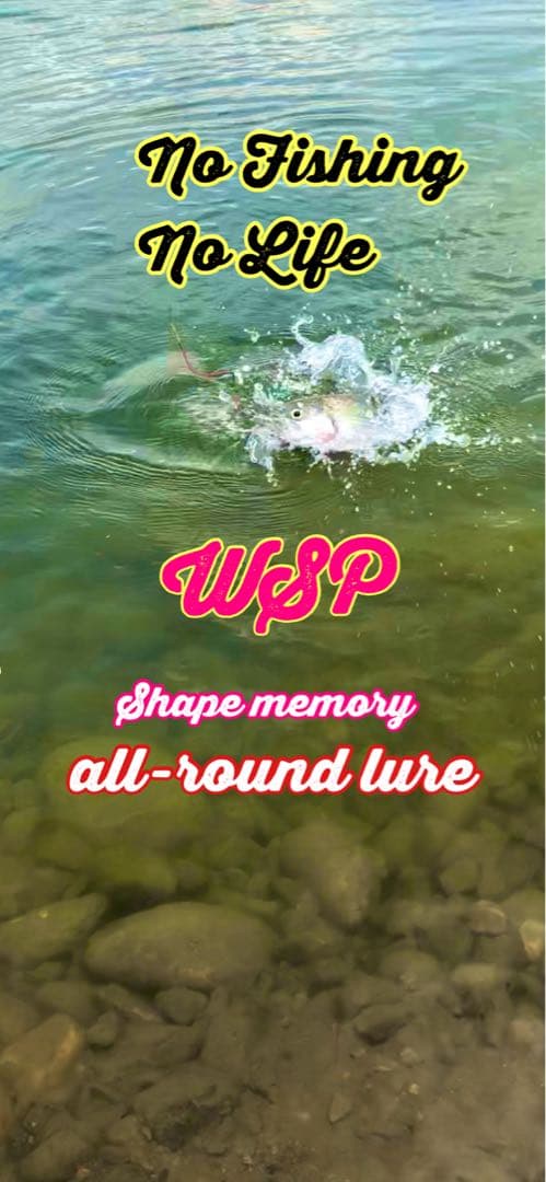 【オーダー受付ページ】WSP 形状記憶　数釣り最強！超万能ルアー