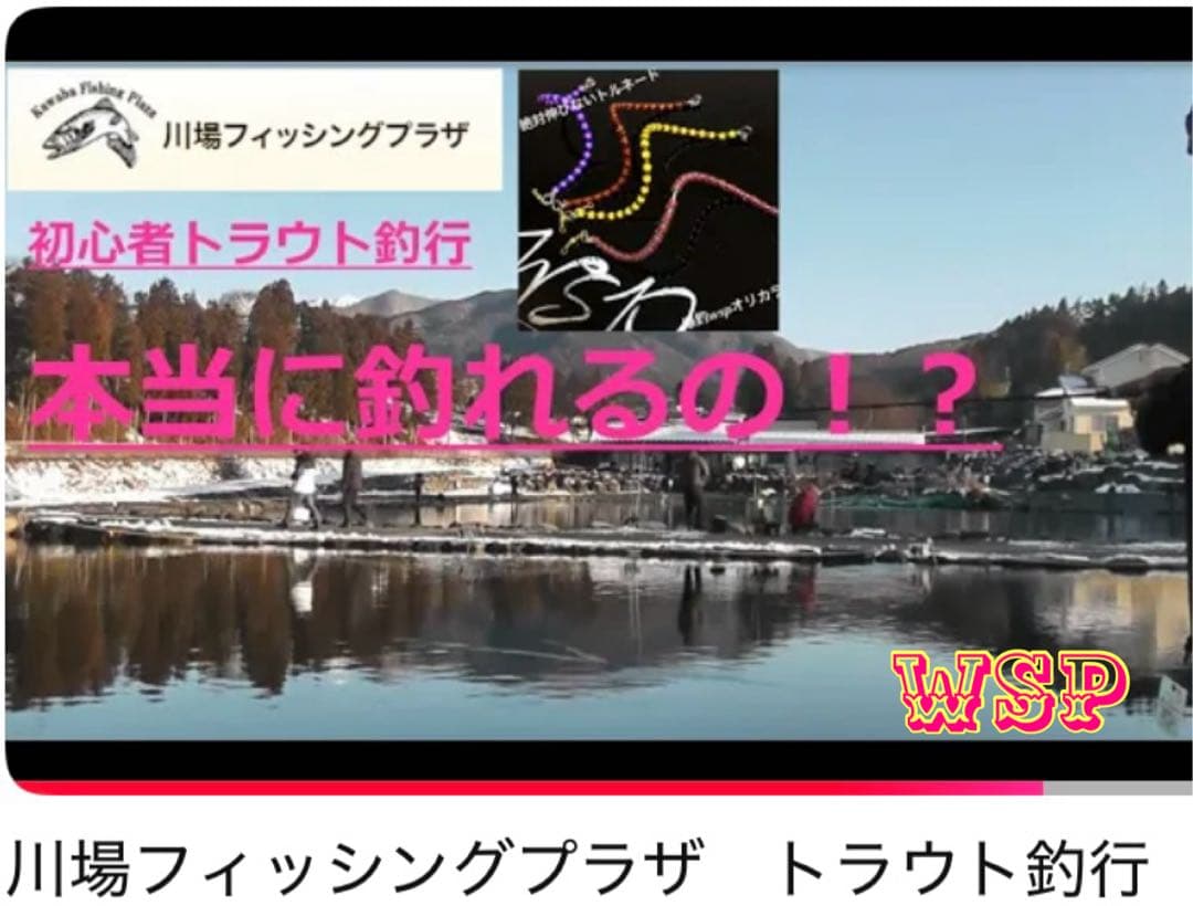 【オーダー受付ページ】WSP 形状記憶　数釣り最強！超万能ルアー