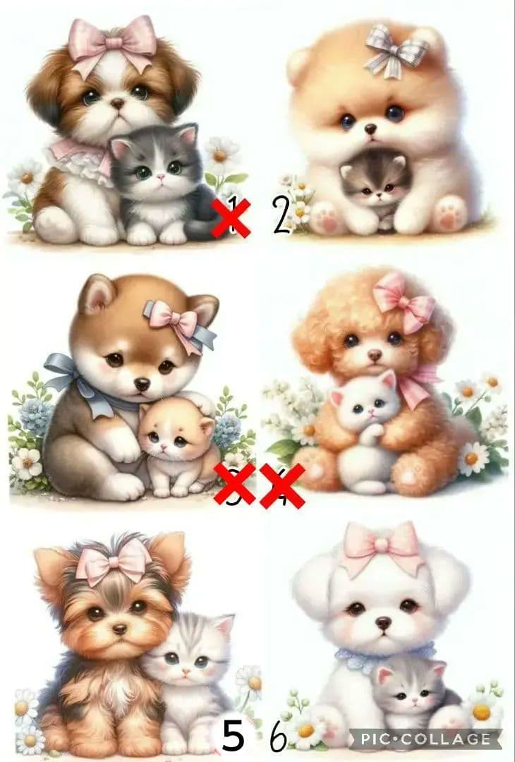 6/5 ねこちゃんとわんちゃん パネル ハンドメイド