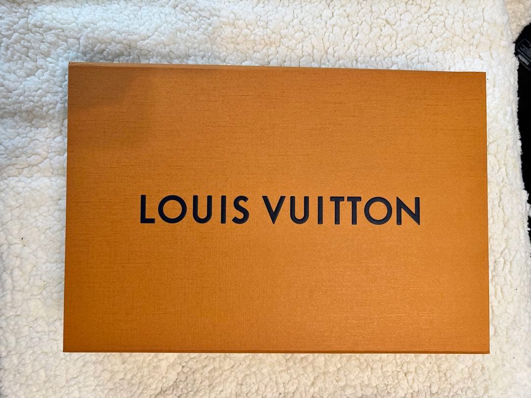 Louis Vuitton ロングスリーブカットソー ロンT