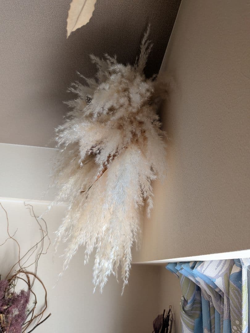 ドライフラワー★たっぷりパンパス大型壁掛け★インテリア　店舗にも　インパクト大