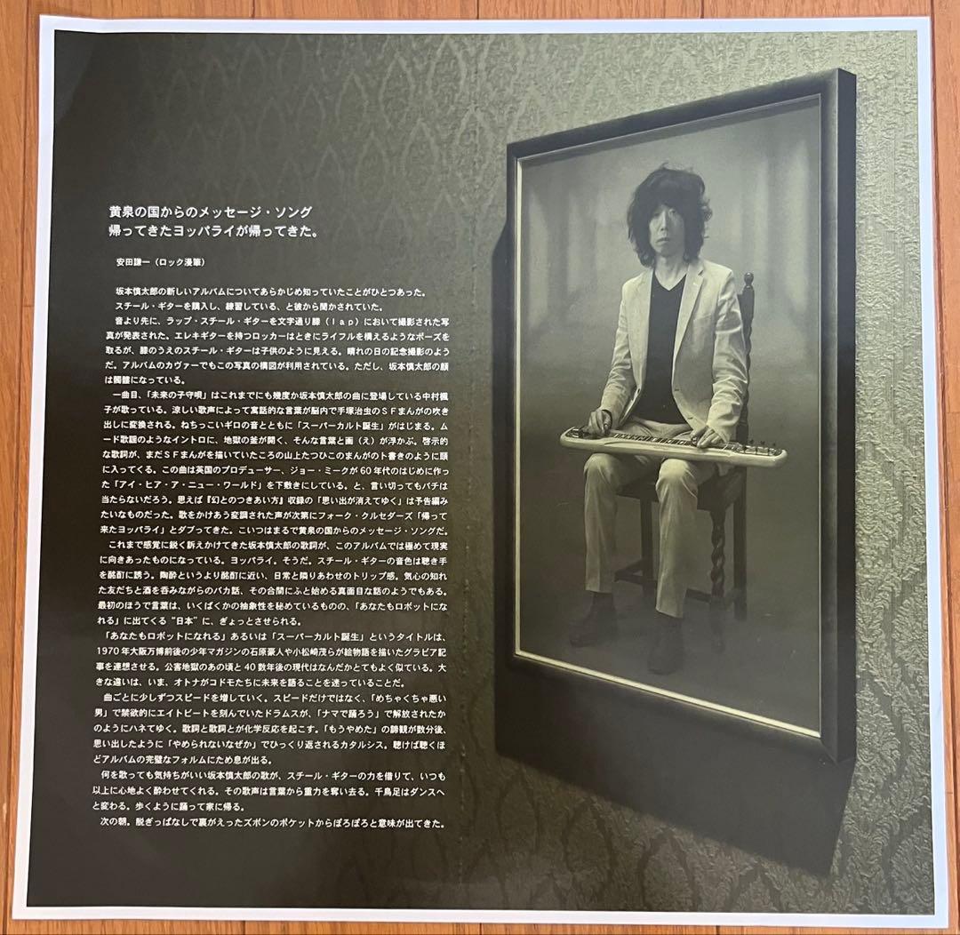 坂本慎太郎 / ナマで踊ろう LP日本盤 レコード