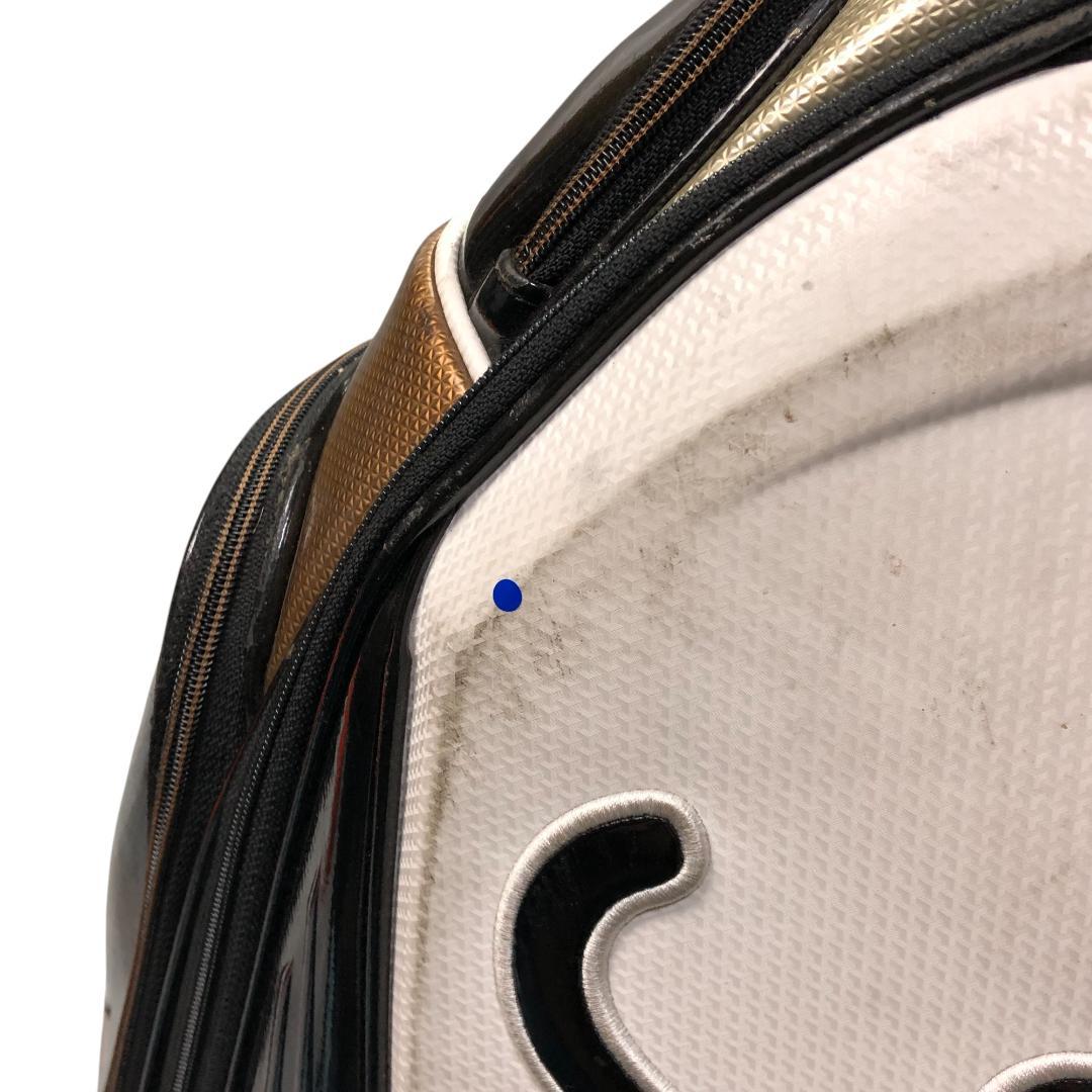 タイトリスト Titleist キャディバッグ ホワイト ブラック ゴルフ 刺繍