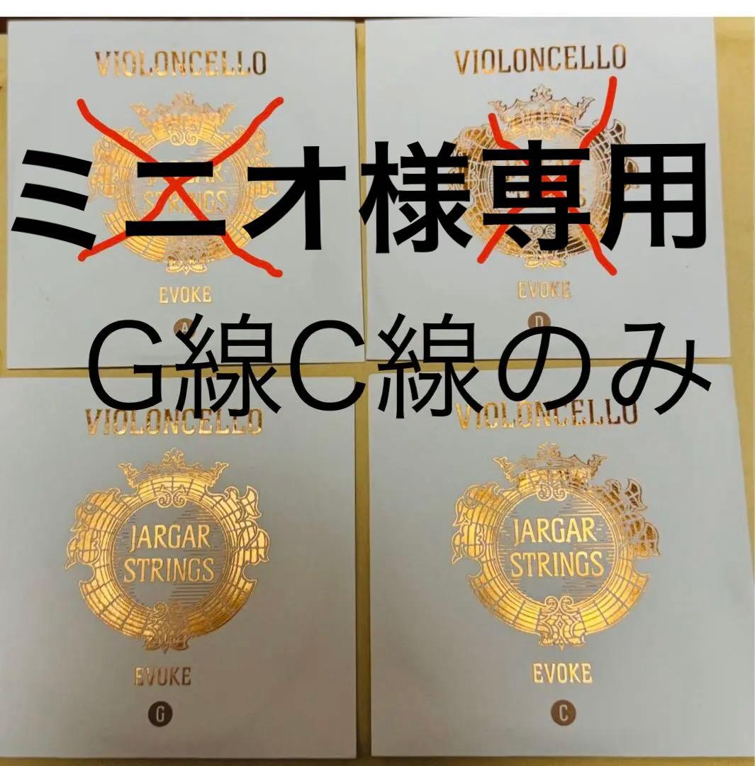 チェロ弦　Jarger EVOKE G線、C線セット