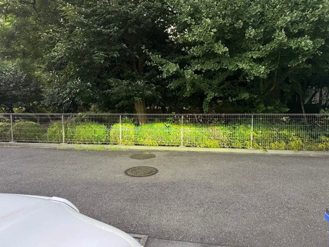 ハイラックス ヘッドライトレベライザー