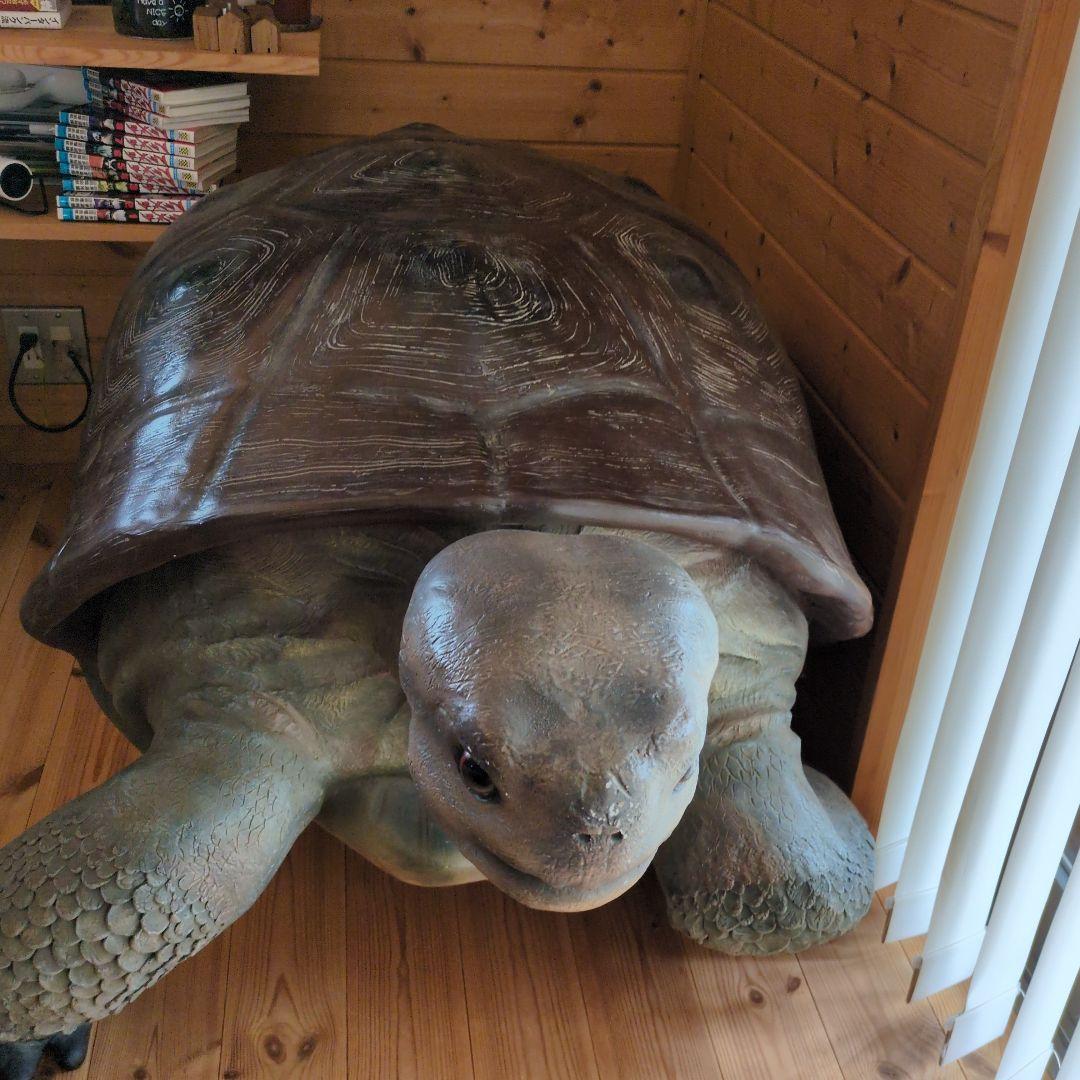 置物 縁起物 動物 ペット ガジェット BESS 亀