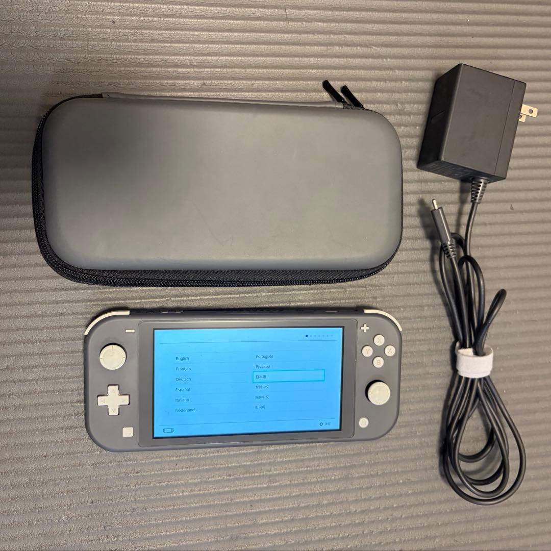 Nintendo Switch Lite グレー 本体 充電器　ケース付き