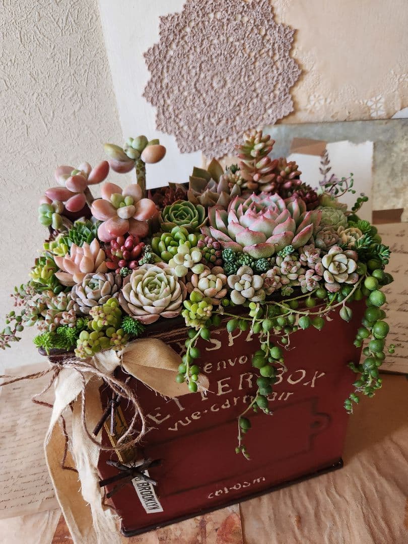 多肉植物寄せ植え　そのまま飾れる寄せ植え 　赤いポスト♡