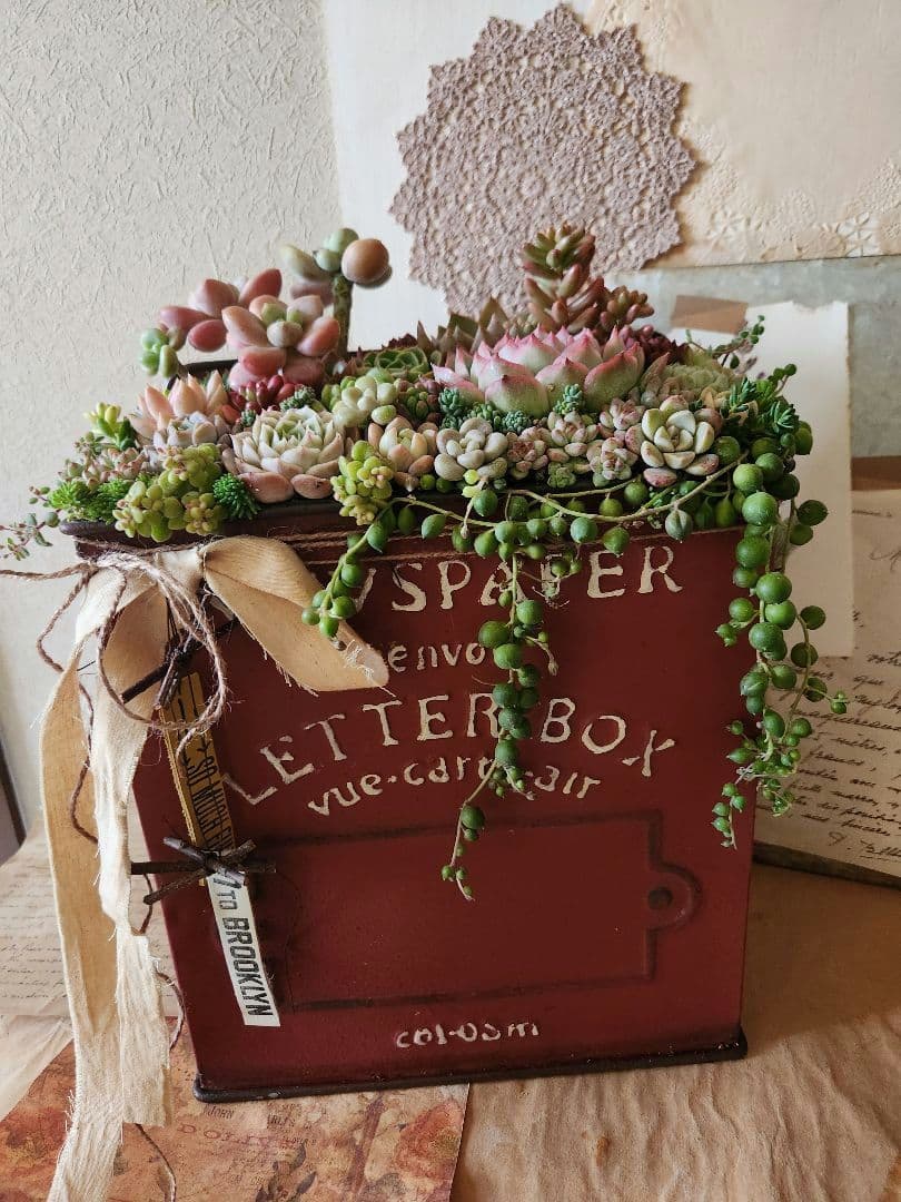 多肉植物寄せ植え　そのまま飾れる寄せ植え 　赤いポスト♡