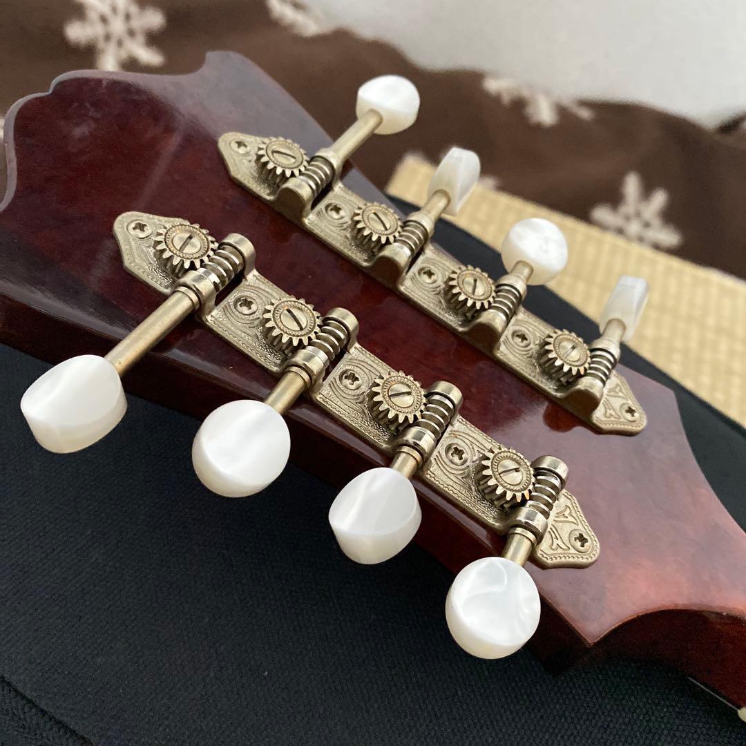 Eastman MD-505/A.Red フラットマンドリン メンテナンス前提で