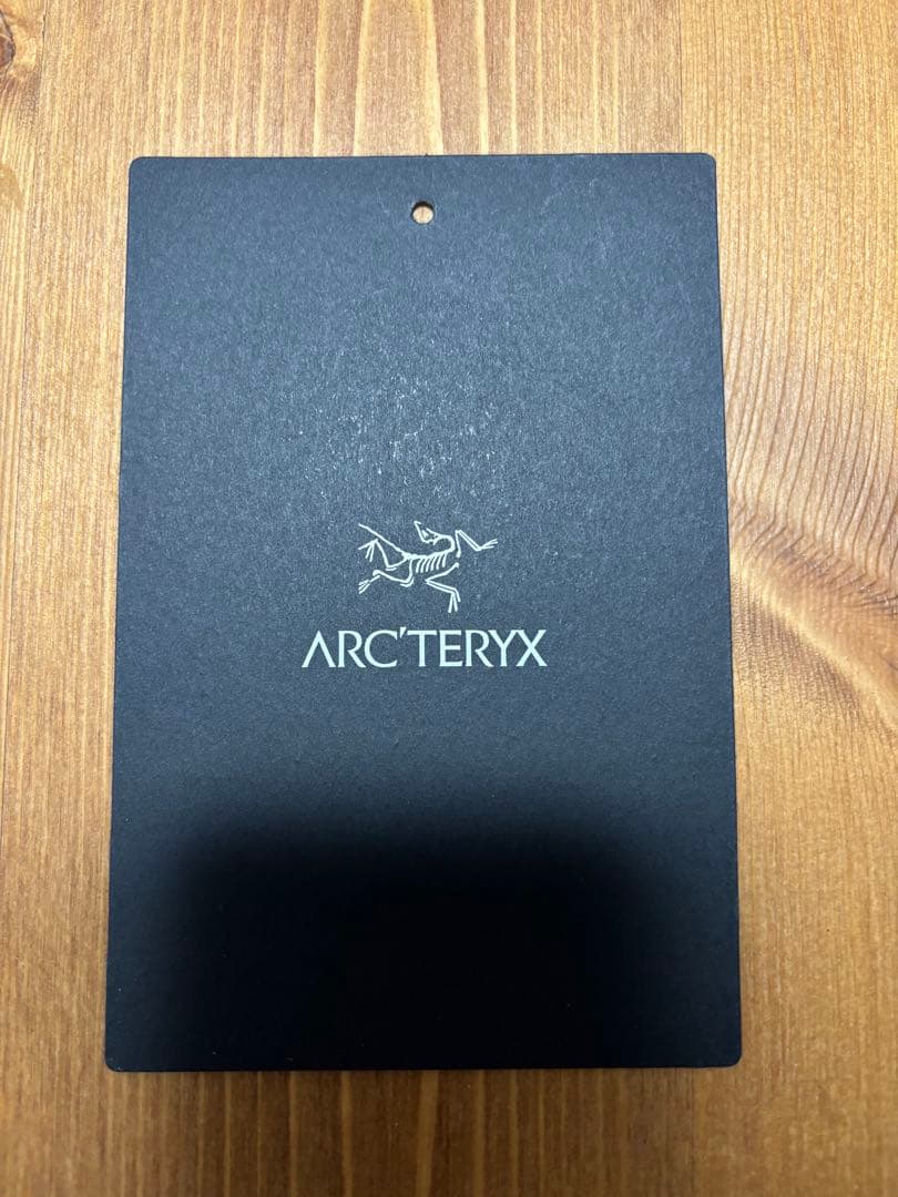 【Mサイズ】ガンマ フーディ メンズ ARC'TERYX