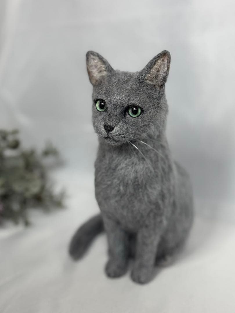 サンプルページ ロシアンブルー Ｍサイズ 植毛あり