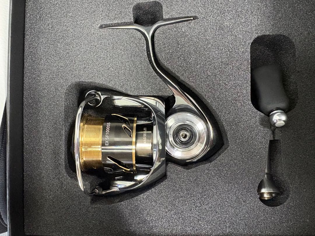 リール DAIWA EXIST SF1000S-P