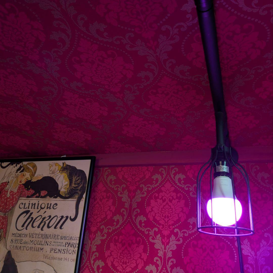 【新品未使用】ドローアライン　テンションロッド A＋ランプ A