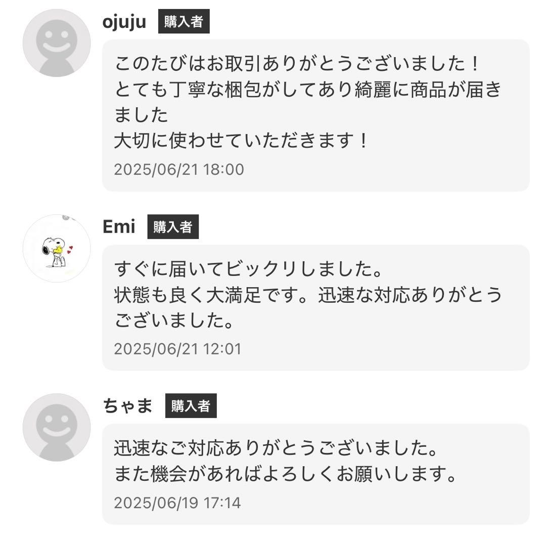 【らる～く】FERNANDES エレキギター SFR-512 水色 アーム