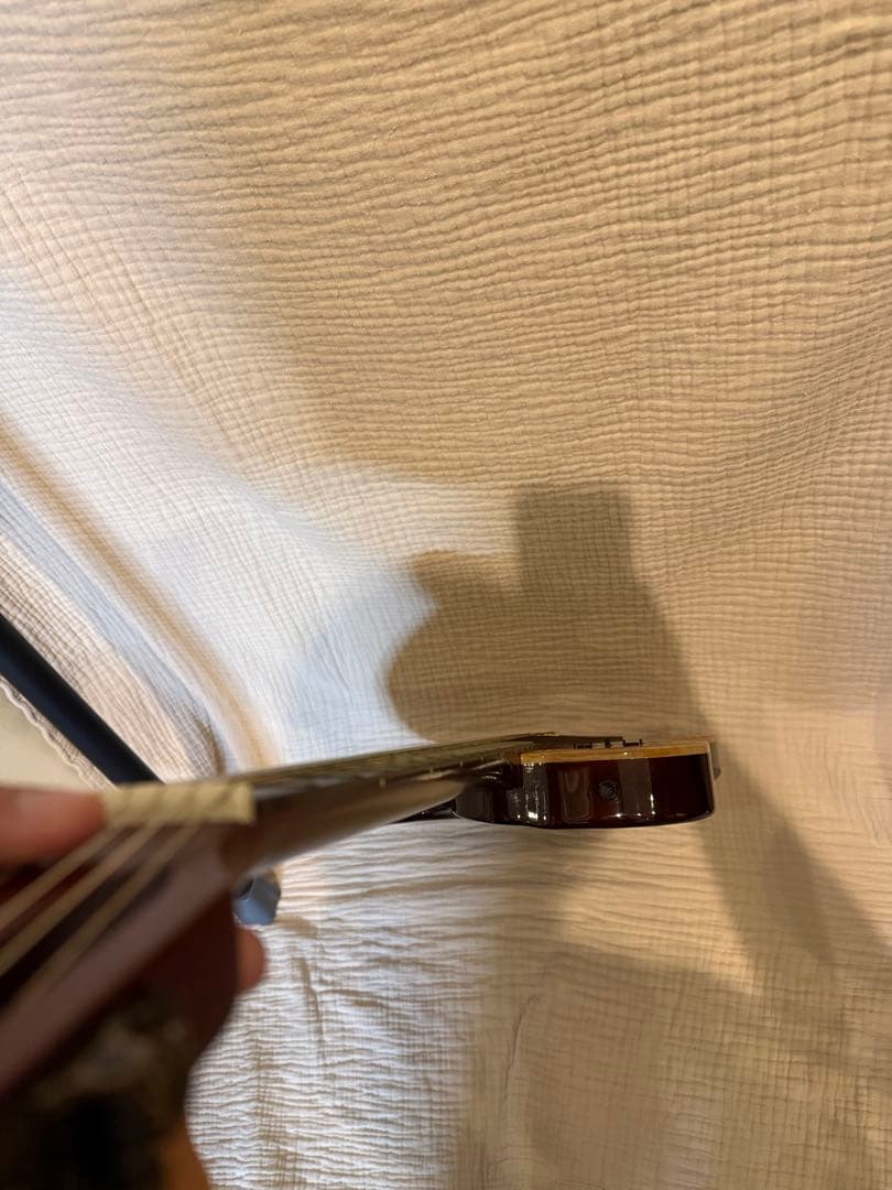 ギター Godin ACS Slim 10th Anniversary 100/100