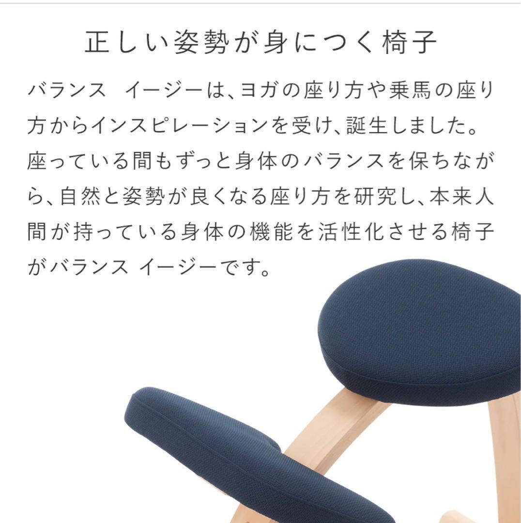 【正規品】美品バランスチェア　イージー(カバー付き)