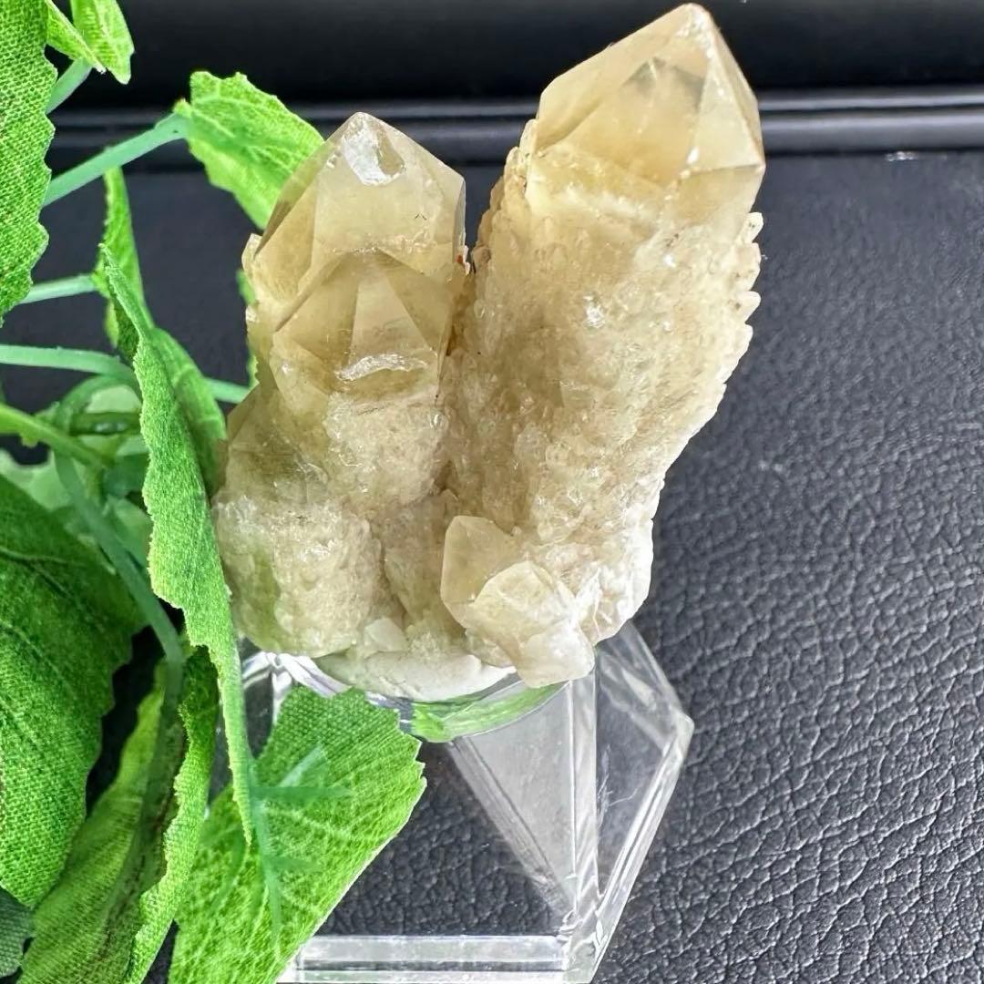 希少❗️オーラ皮膜レインボーシトリンスピリットクォーツ カクタスクォーツA1537