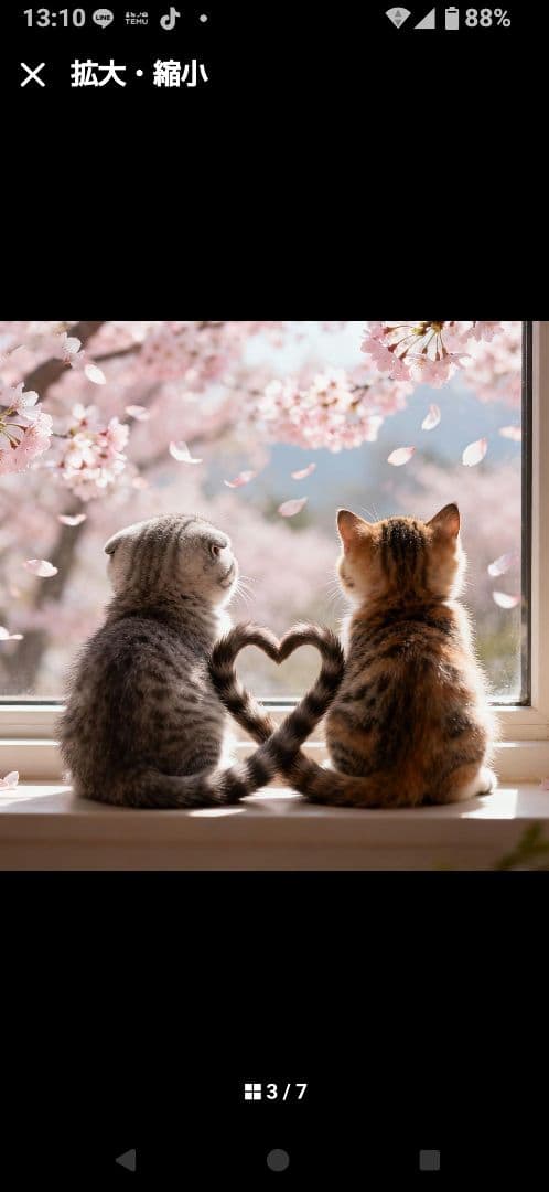 ご確認用　なつぞら様　ハンカチ　ネコちゃん柄