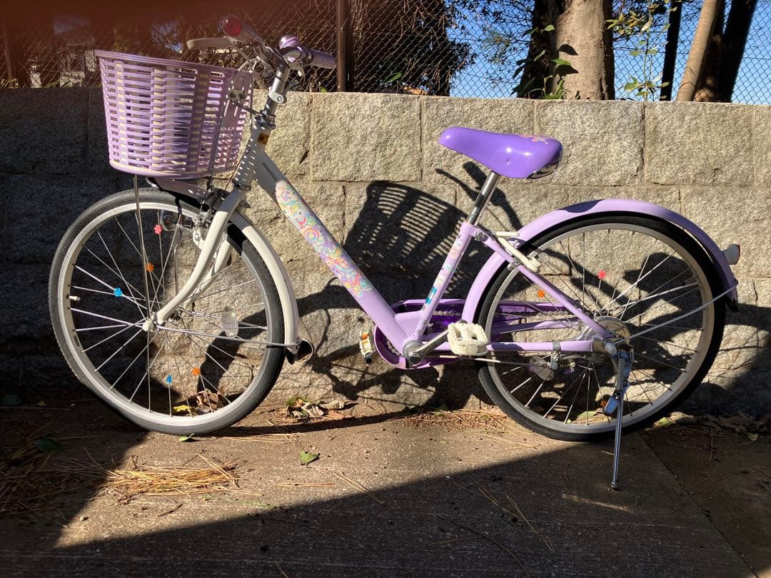 東京都 ブリヂストン 22インチ エコパル ラベンダー