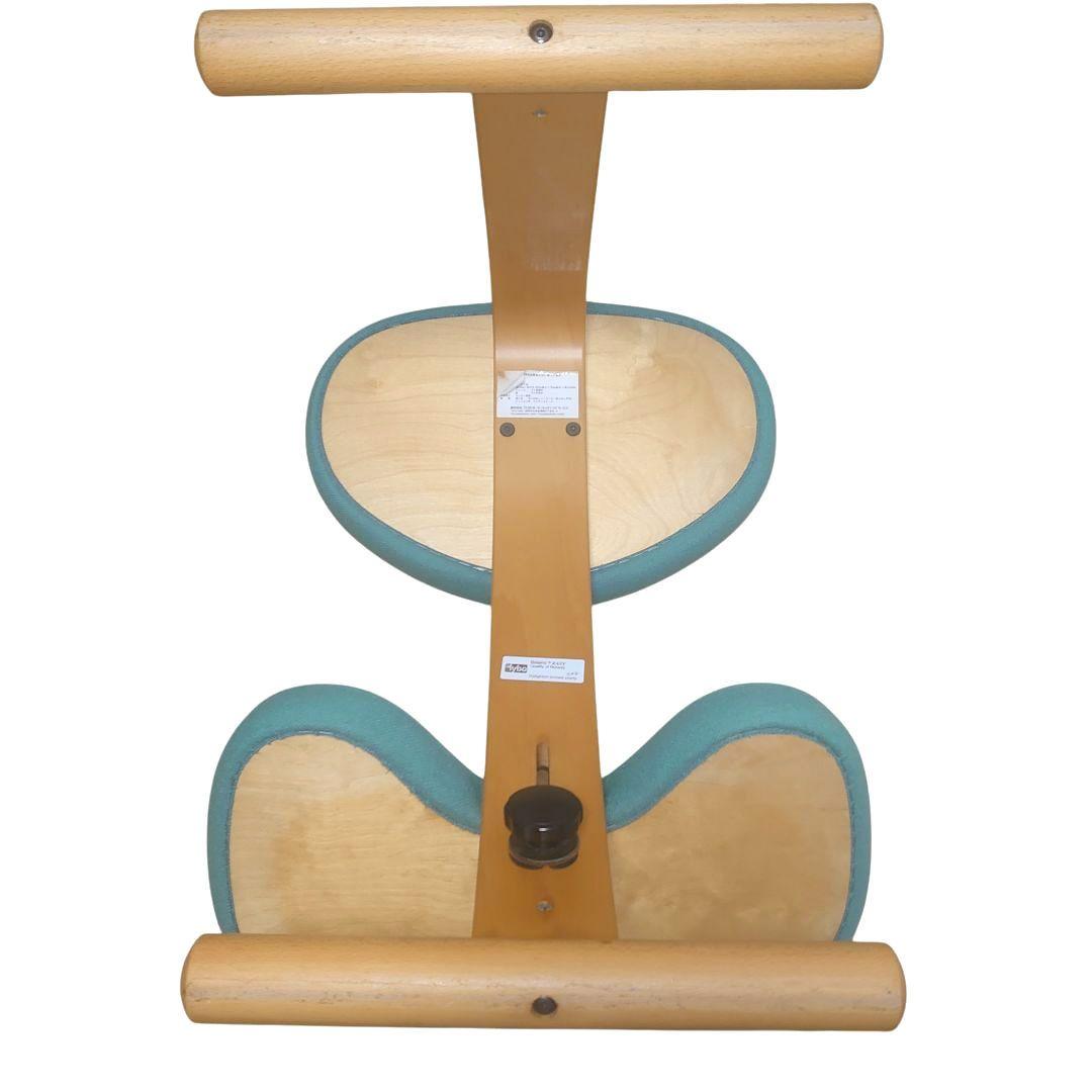 Rybo Balance Easy バランスイージー チェア　リボ社