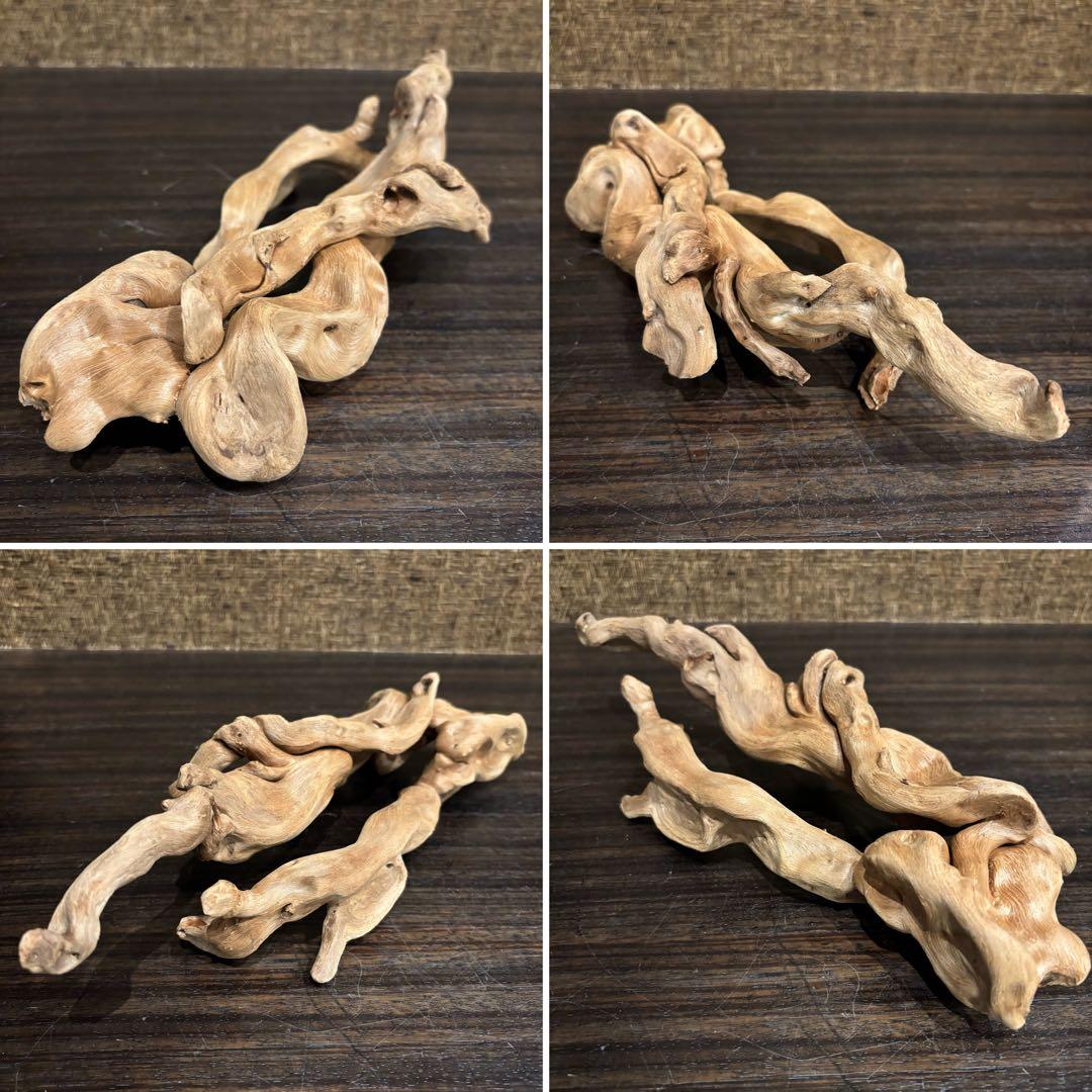 流木 優秀フォルム４本セット