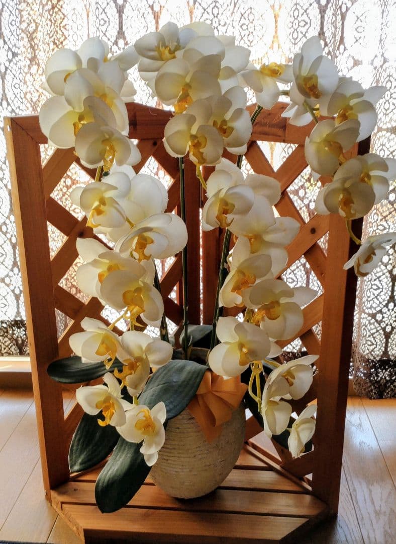 光触媒胡蝶蘭アレンジメント 木製スタンド付き
