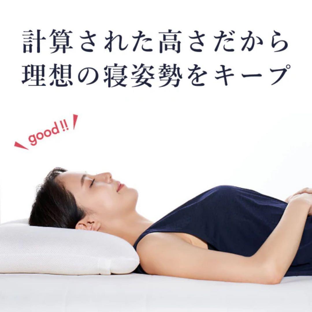 LOFTYロフテー 快眠枕 LT-050（低反発炭パイプ）1号 27,500円