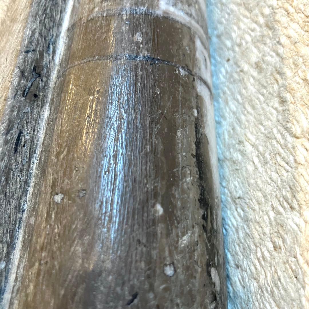 超希少 特大 オルソセラス オルトセラス 直角貝 化石 古生代 インテリア