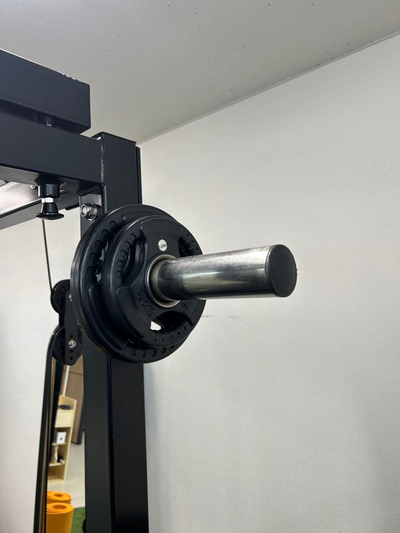 EVOLGEAR エヴォルギア フォールディングパワーラックEVPR-181