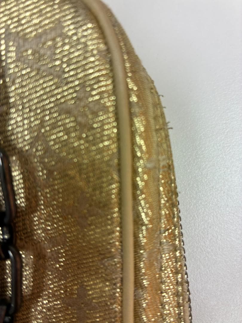 LOUS VUITTON ルイヴィトン　マッケンナ モノグラムシャイン