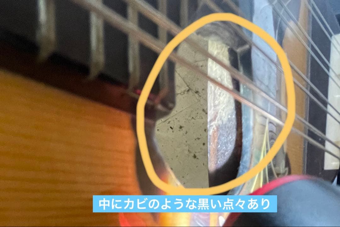 マンドリン　カラーチェ