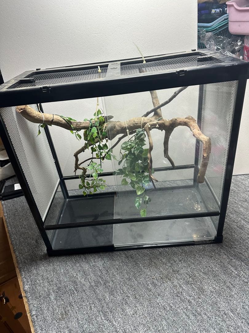 引き取り限定 爬虫類ケージセット とケージ2個