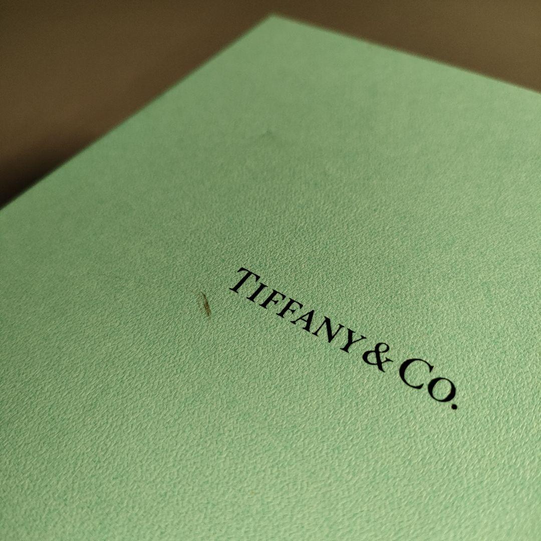 A1307-1/TIFFANY&CO./ティファニー TCOショッピングバック型