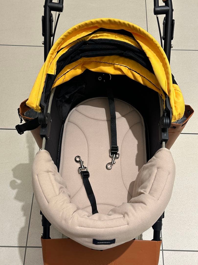 エアバギー ドーム3 レギュラー チェダー