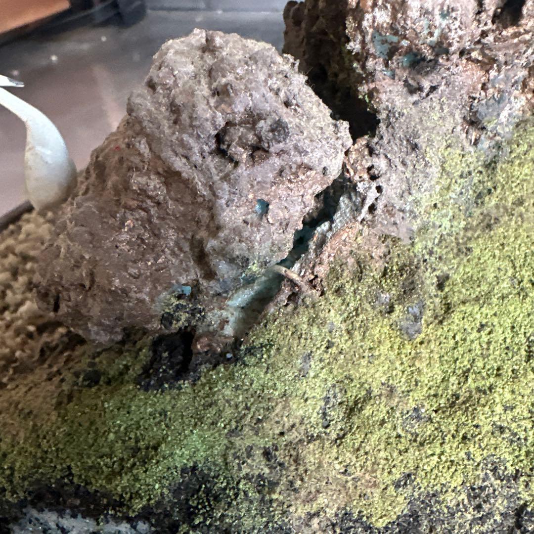 フェイク！中型盆栽 苔と土の植え込みの鉢