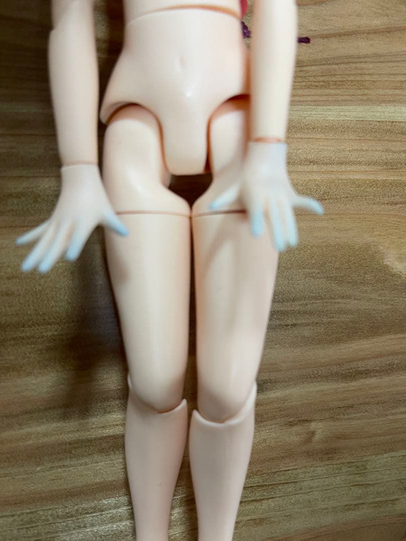 ブライスカスタム国内作家様