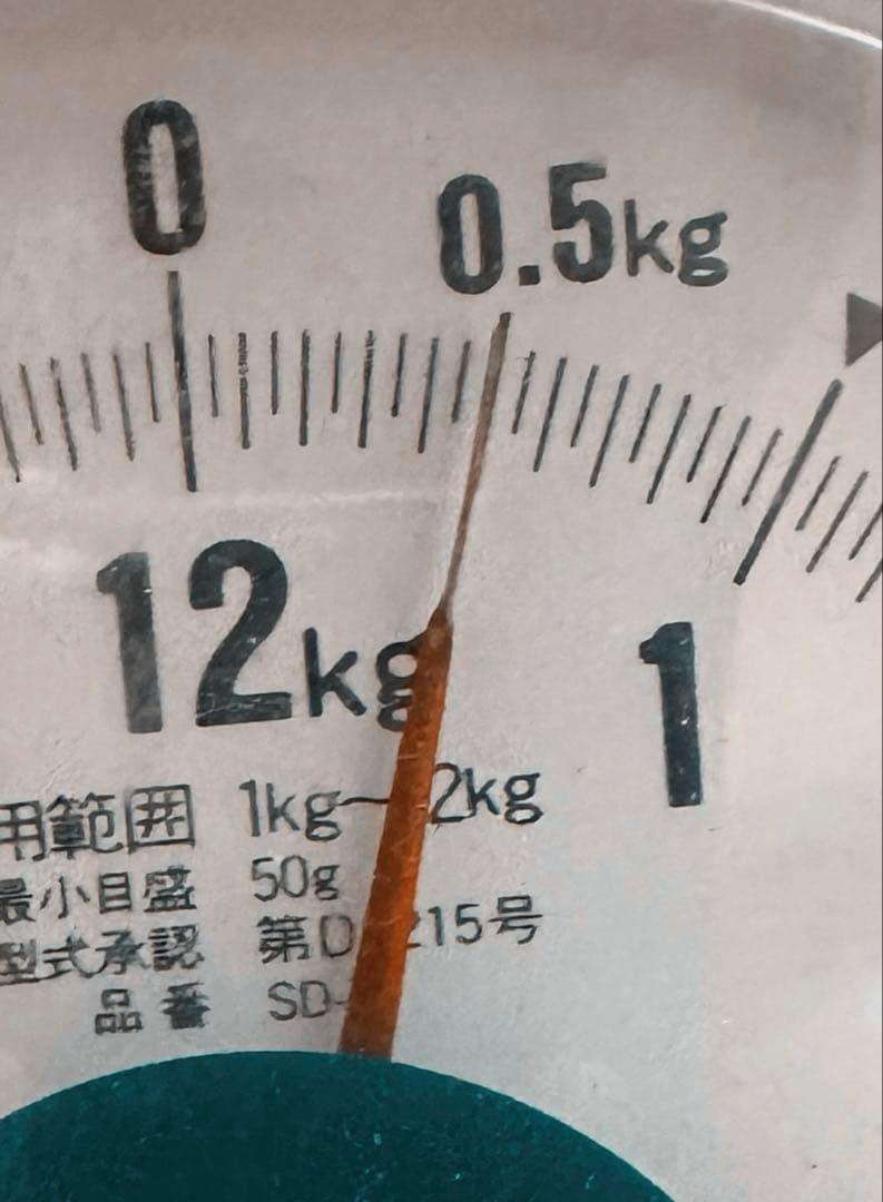 人間国宝 「釜師 鈴木盛久 (繁吉) 作」 日の丸形 小鉄瓶 500g